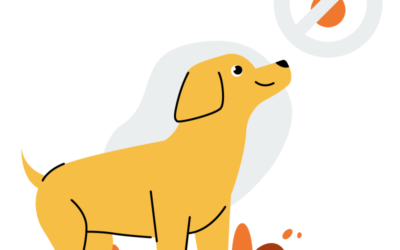 Retriever Ausstellung Burgdorf